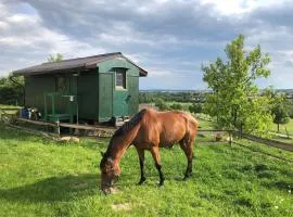 Tiny house nad vinicí