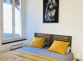 Charmant T2 centre ville N 5