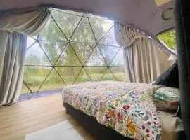 Dome & Sauna & River & BBQ