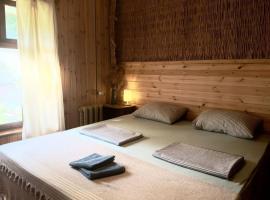 Meshe Eco-village，位于连科兰的酒店