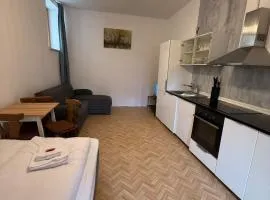 Gasthof zum goldenen Schiff - Budgetwohnung im Hotel