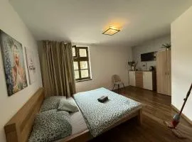 Apartmány Karlov Dvor