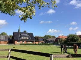 Ferienwohnung Hümmling，位于Börger的酒店