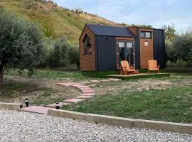 L'Uliveto X by Tiny Away