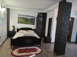 Casa Rico 2，位于图尔恰的酒店