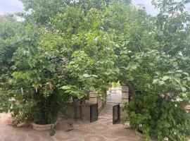 Duplexe familiale avec jardin