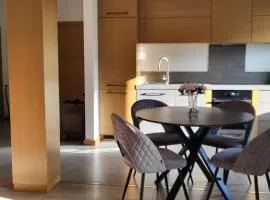 Apartament Wenecja z ogródkiem,parking