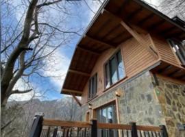 &Ccedil;alıkuşu Dağ Evi，位于伯萨的乡村别墅