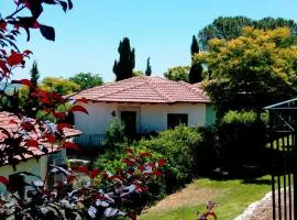 肖里西青山山林小屋