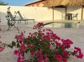 Luxe huis met privézwembad villapark fontein