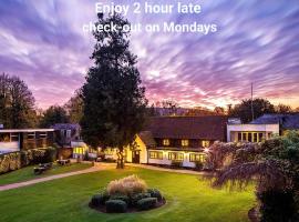 Sunday Box Hill Burford Bridge Hotel，位于多尔金的酒店