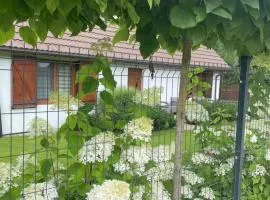 Apartamenty Buczyna w Sierakowie