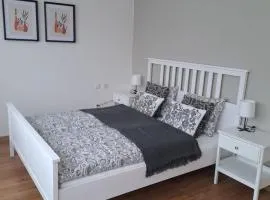 Apartmans MWM Brno 3