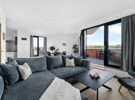 Sunny apartment with terraces in Královo Pole