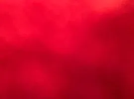 Modern Haven Apartment