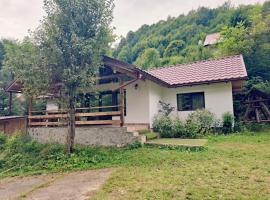 Rustic Home，位于Ciungetu的酒店