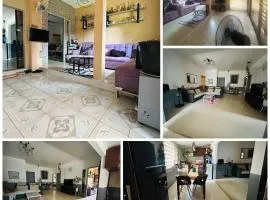 balai ardina transient houses