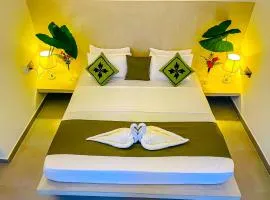 The Mirror Wall Sigiriya