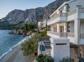 Villa Svilla - Makarska Exklusiv，位于德朗西斯的酒店