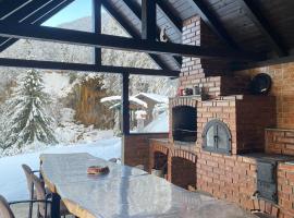 Casa de Vacanta Cascada，位于Vidra的酒店