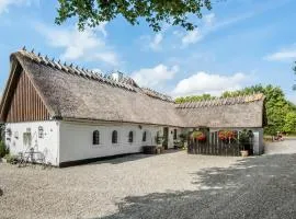 Awesome Apartment In Tommerup With House A Panoramic View