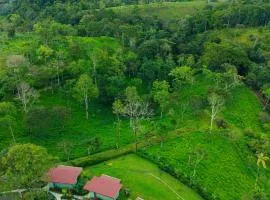 Cabañas Vista Verde opción sin jacuzzi