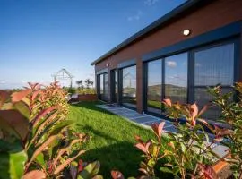 Casa Deluxe in Sinteu - intersectia intre modern si linistea naturii