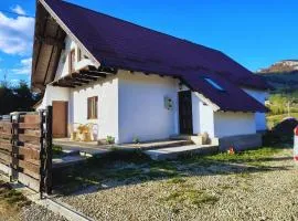 Pe un Picior de Plai