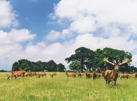 Deer Park Lookout - E3928