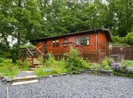 The Squirrels Drey C32 - Uk45927