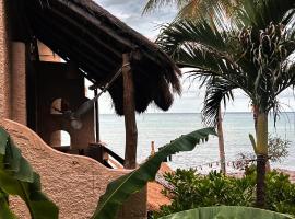 Hotel Casa Colibri，位于普拉亚卡门的酒店