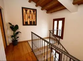Natural Loft 14 -jvapartmentrovigo