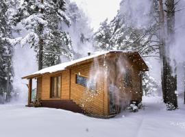 Villa Margarita 1，位于Semkovo的酒店