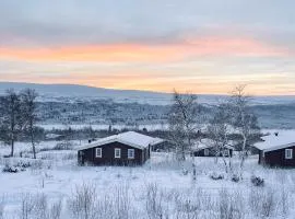 Nobel Cabins - Tänndalen