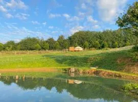 Bracken Yurt - Ukc6941