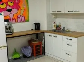 Krásny priestranný slnečný apartmán v centre mesta