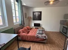 Studio Voyage - Proche centre ville