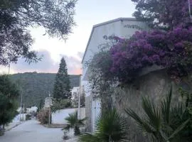 Bizerte Tunisia cozy studio