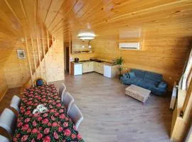 Kolkheti Eco Cottages livlivi ლივლივი - big cottage