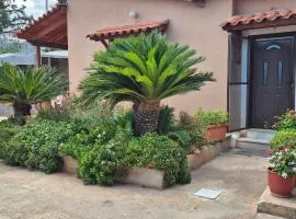 FarmHouse near Airport