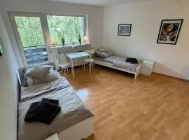 Sonniges CityNest Apartment mit Balkon und bester Verkehrsanbindung Komplette Unterkunft
