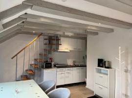 Central apartment nearby munich，位于Eichenau的酒店