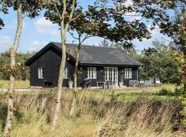 1136-Ringkobing-Hovervej-61