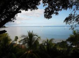 Cabinas Nasua Drake，位于德雷克的酒店