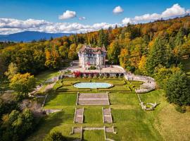 Château des Avenieres，位于克吕塞耶的酒店