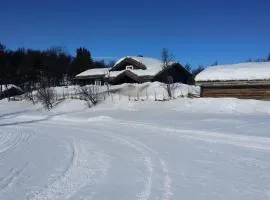 Nydelig hyttetun på Torpoåsen
