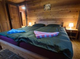 Gemütliches Walliser Chalet Nahe Aletschgebiet，位于布里特泽根的酒店