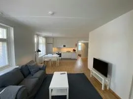 Spacious Apartment for 4