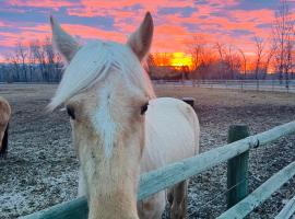 Cabin on Horse, Donkey and Cow Farm，位于博兹曼的酒店