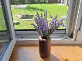 Soproniutas EDINApartman